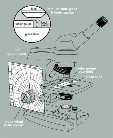 measure thickness inside microscope slide|microscope slide instructions.